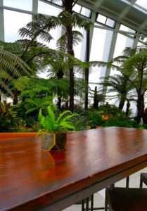 Tables, Stools and Decorative Planting in Sky Garden London