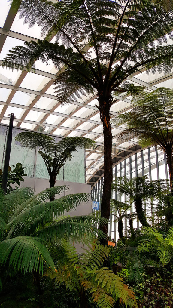 Tall Trees in Sky Garden London