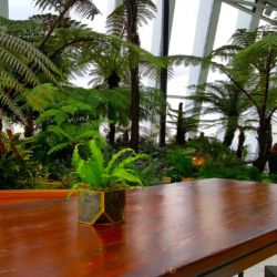 Tables, Stools and Decorative Planting in Sky Garden London