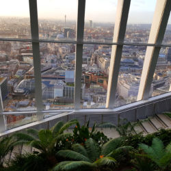 Sky Garden plants and view across St Paul's Cathedral London